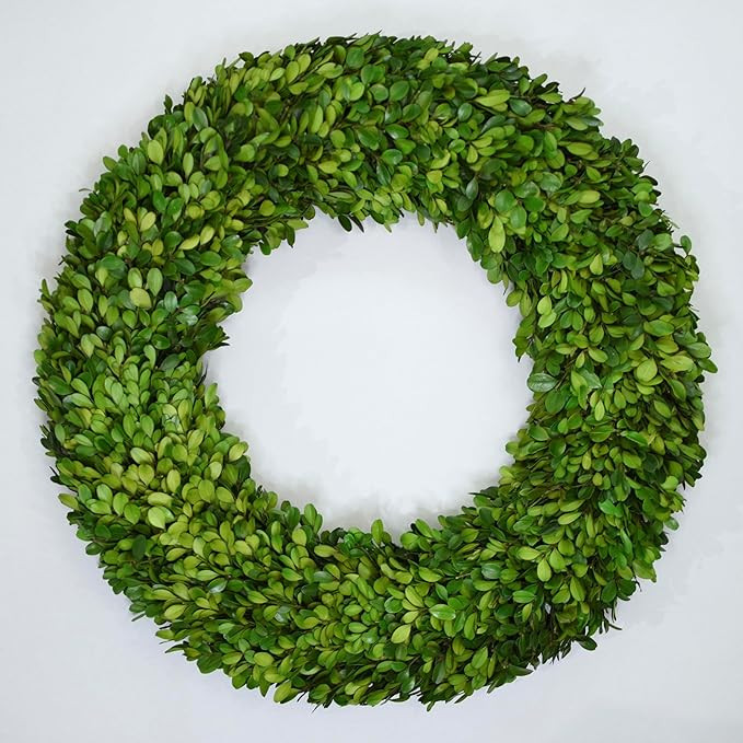 24 Inch Preserved Boxwood Wreath – Real Greenery Indoor Décor for Spring & Summer, Oversized F... | Amazon (US)