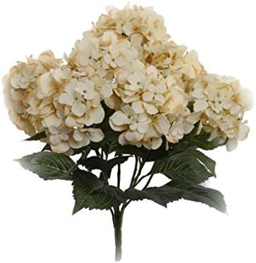 Hydrangea Silk Flowers Plant, Beige, Indoor Home Decoration, Outdoor Plant, Wedding, Centerpieces, B | Amazon (US)
