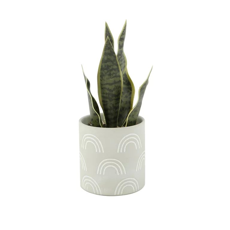 Mainstays 3.7" Artificial Snake Plant in Sage and Rainbow Print Terracotta Pot | Walmart (US)