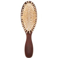 Travel Hairbrush | Christophe Robin US