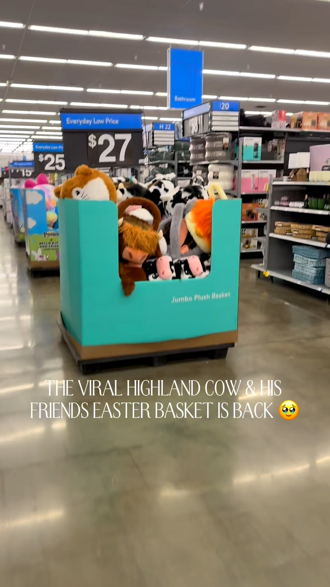 look what’s back! 🐮#easterbasket #highlandcow #easter