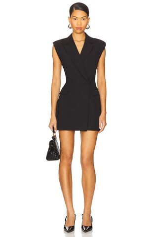 Brieanna Mini Dress
                    
                    Lovers and Friends | Revolve Clothing (Global)