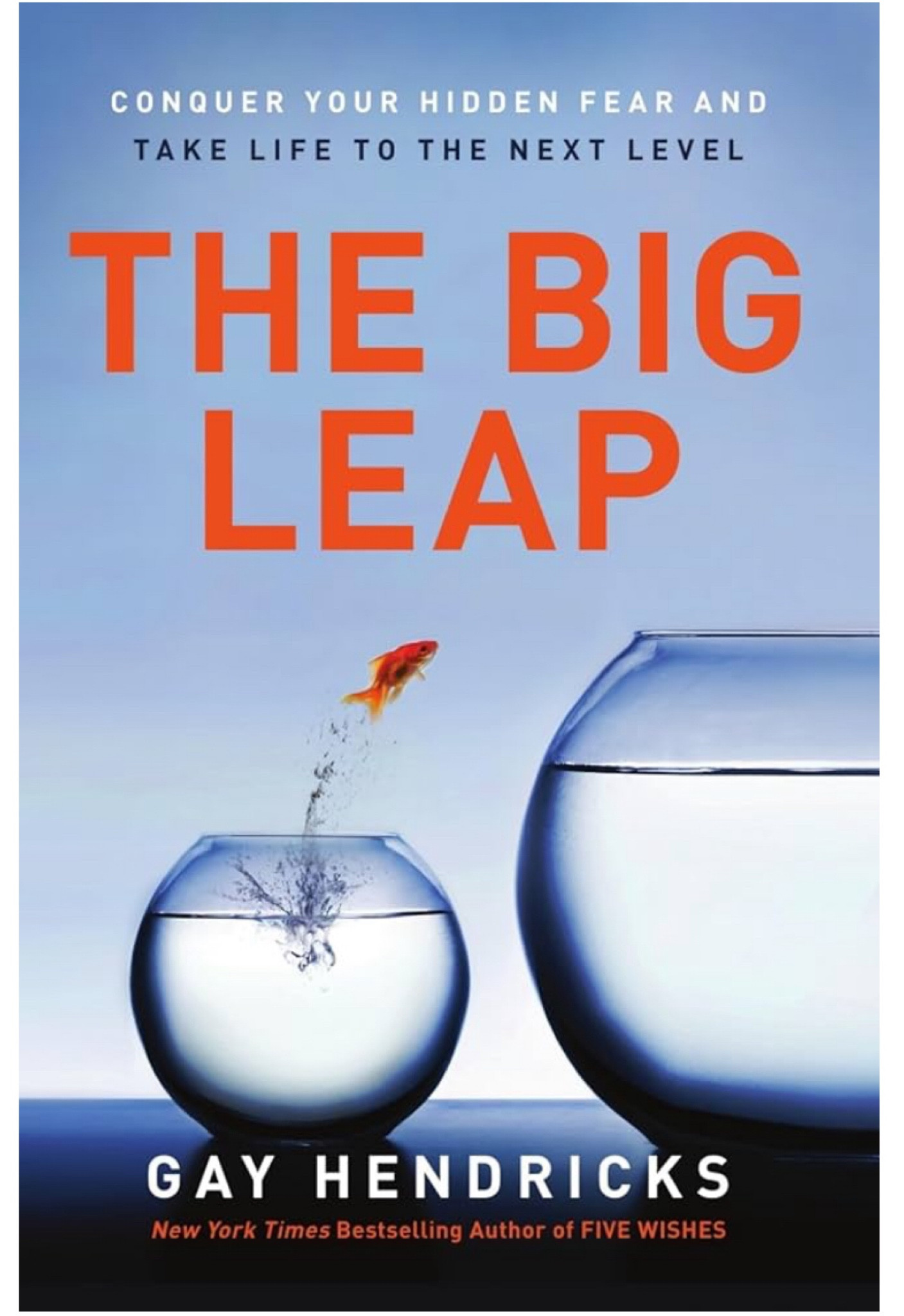 Must read of 2025! How to grow, make money and change behaviors by overcoming fears and limiting thinking. 

Big Leap by Gay Hendricks 

#LTKSaleAlert #LTKGiftGuide #LTKWatchNow