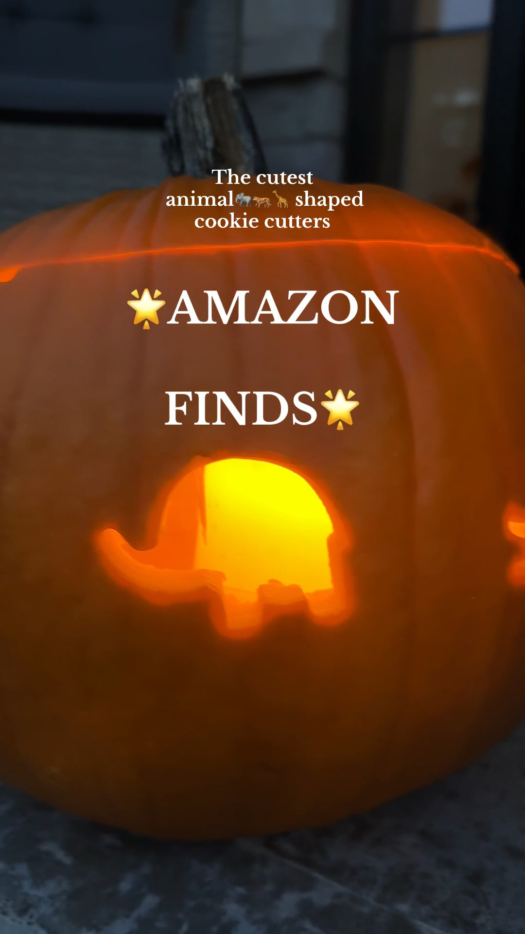 Making childhood magical every second day✨

The cutest animal shaped cutters🫶🏼

#amazonfinds #amazoncanada #animalcutters #backtoschool #canadianmom #torontoblogger #canada 

#LTKkids #LTKcanada #LTKfamily