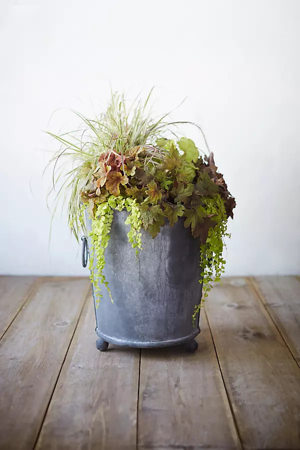Galvanized Ring Handle Planter, 24 | Anthropologie (US)