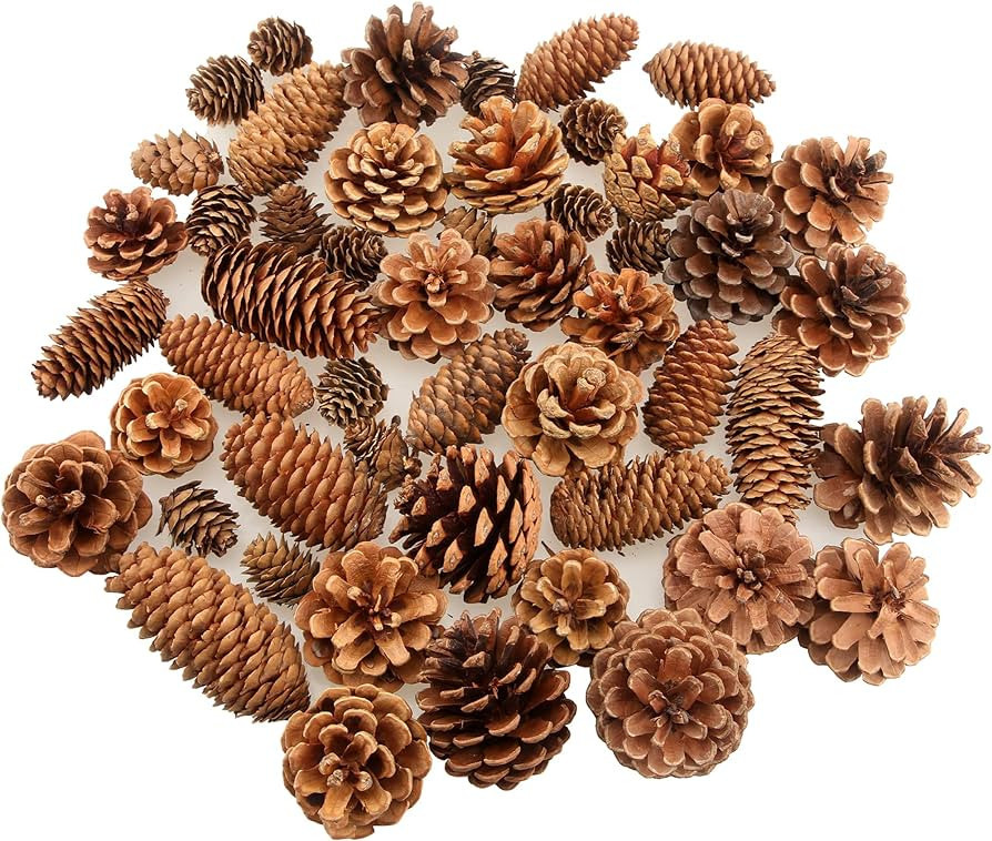 Rcanedny 51 Pieces Christmas Pinecones Natural Pine Cones for Xmas Wreath Garland Tree Ornaments ... | Amazon (US)