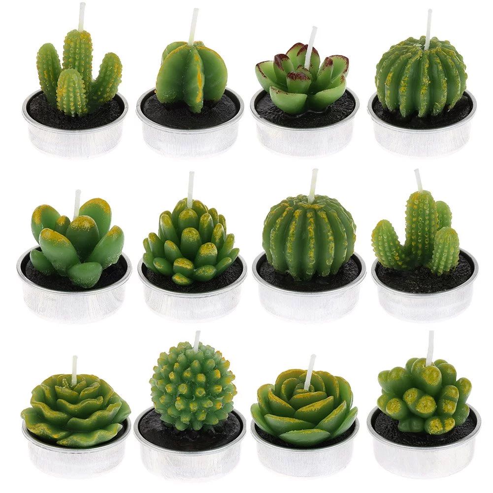 Qweryboo 12 Pieces Cactus Tealight Candles, Handmade Delicate Succulent Mini Plants Candles, Smok... | Walmart (US)