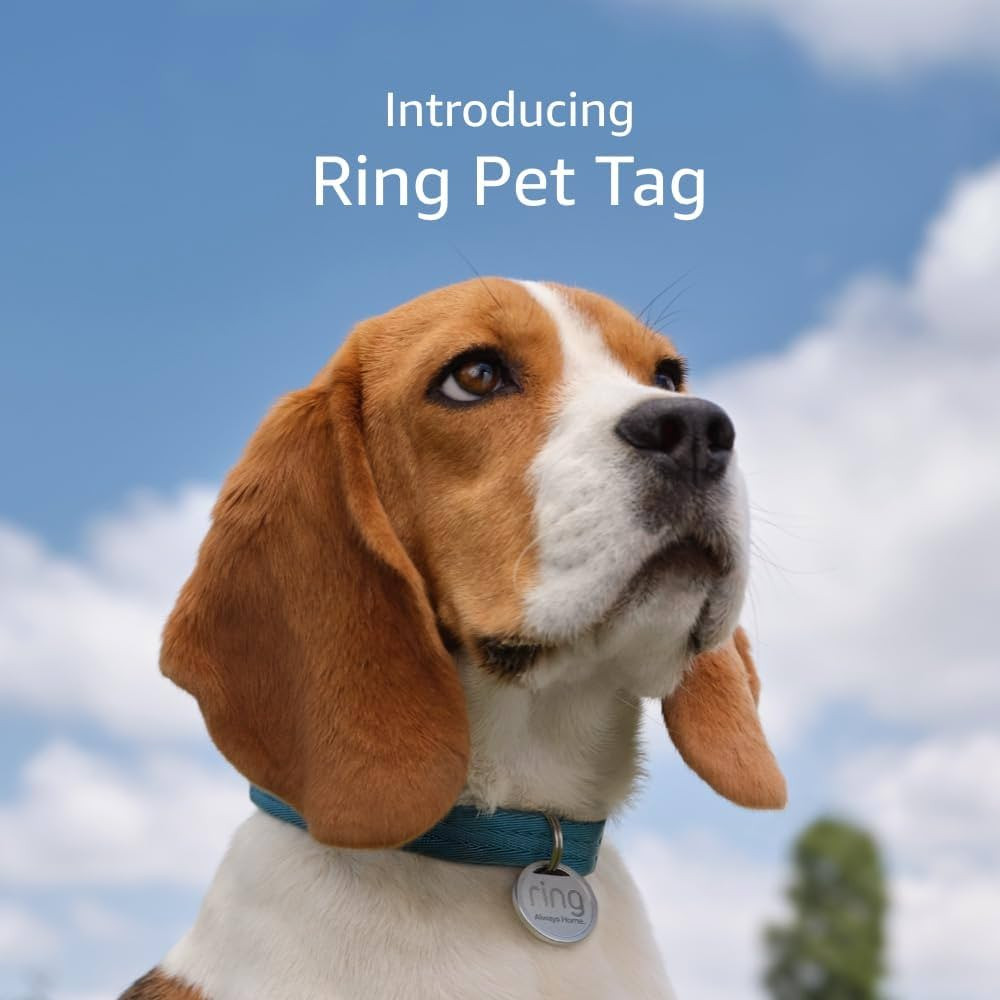 Ring Pet Tag | Easy-to-use tag with QR code | Real-time scan alerts | Shareable Pet Profile | No ... | Amazon (US)