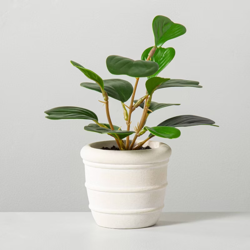 Faux Mini Hoya Heart Potted Plant - Hearth & Hand™ with Magnolia | Target