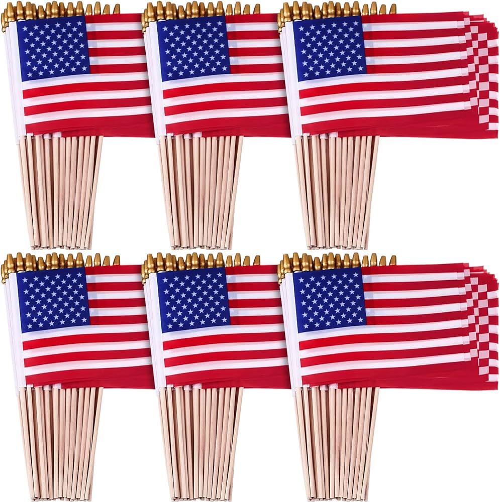 100 Packs of Small American Flags on Sticks, 8 x 12 Inches Mini Handheld US Flags Stick with Soli... | Amazon (US)