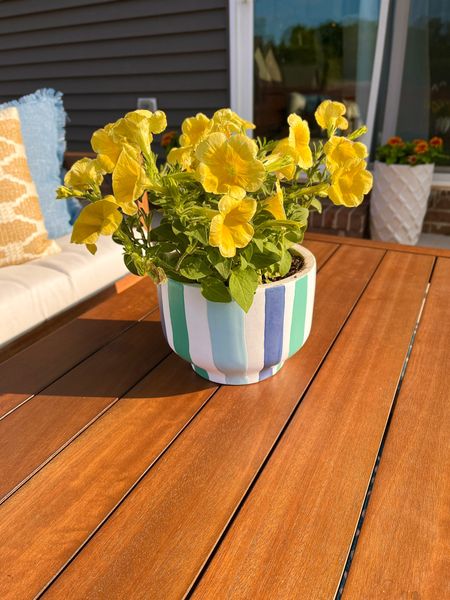 Yellow Petunia’s in a Planter from Lowes

#LTKstyletip #LTKSeasonal #LTKhome