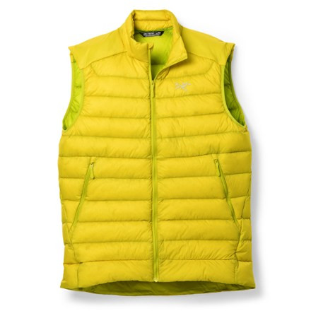 Arc'teryx   Cerium Down Vest - Men's | REI