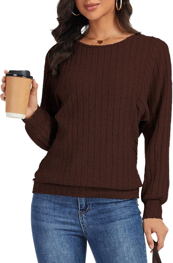 Womens Batwing Long Sleeve Shirts Lightweight Sweaters Work Tunic Tops Dressy Casual Loose Fit Fa... | Amazon (US)