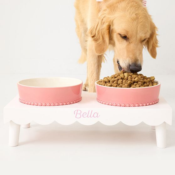 Beaded Ceramic Pet Bowl | Mark and Graham