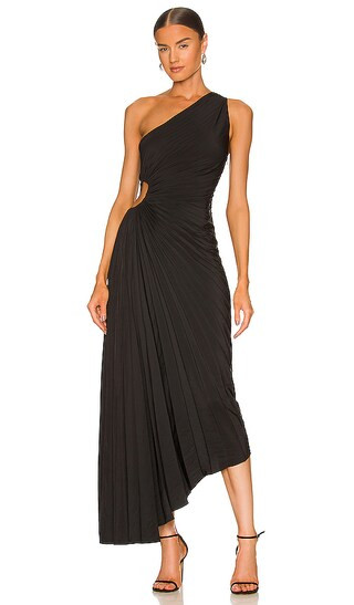 Delfina Dress in Black | Revolve Clothing (Global)