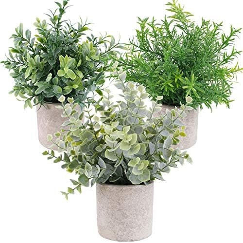 OUTLEE 3 Pack Mini Artificial Potted Plants Faux Eucalyptus Plants Boxwood Rosemary Greenery in P... | Amazon (US)