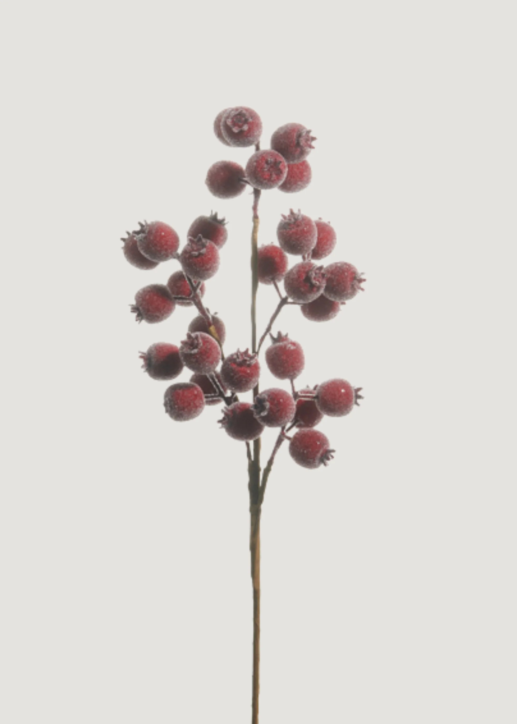 Berry Pod Branch in Burgundy | Artificial Holiday Berries | Afloral | Afloral