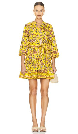 Elvia Mini Dress in Evora Print | Revolve Clothing (Global)