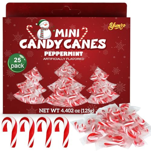 Christmas Mini Candy Canes Classic Red & White Peppermint Flavor for Holiday Family Indulgement - Small Candy Canes Individually Wrapped for Kids & Adults, Great Candy Cane Gift Set - 25 Pack | Amazon (US)
