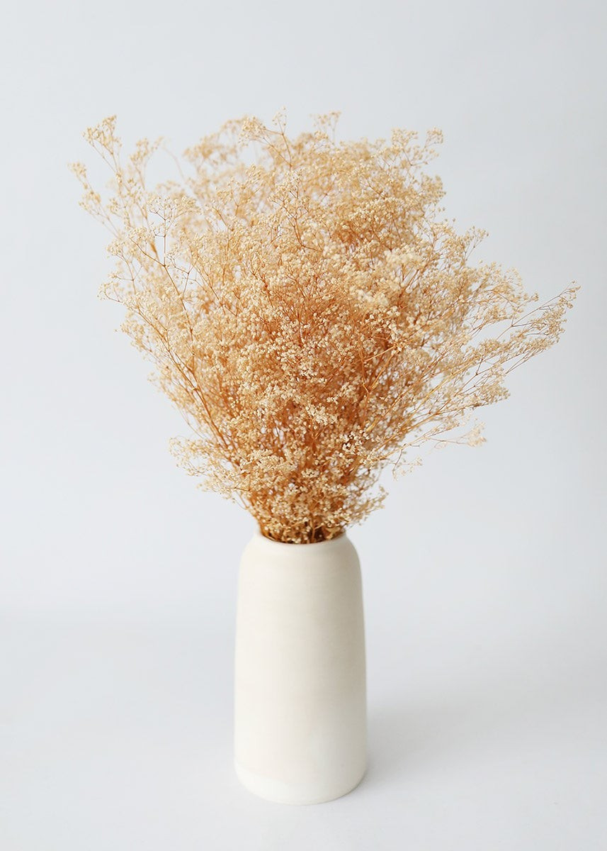 Preserved Natural Gypsophila Bundle | Afloral (US)