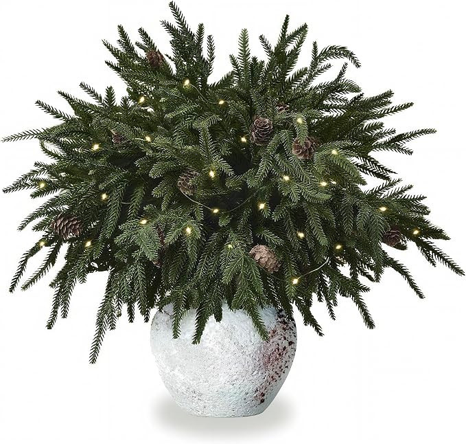 12PCS Christmas Norfolk Pine Branches with Light 20" Real Touch Faux Stems | Warm Light-up Artifi... | Amazon (US)