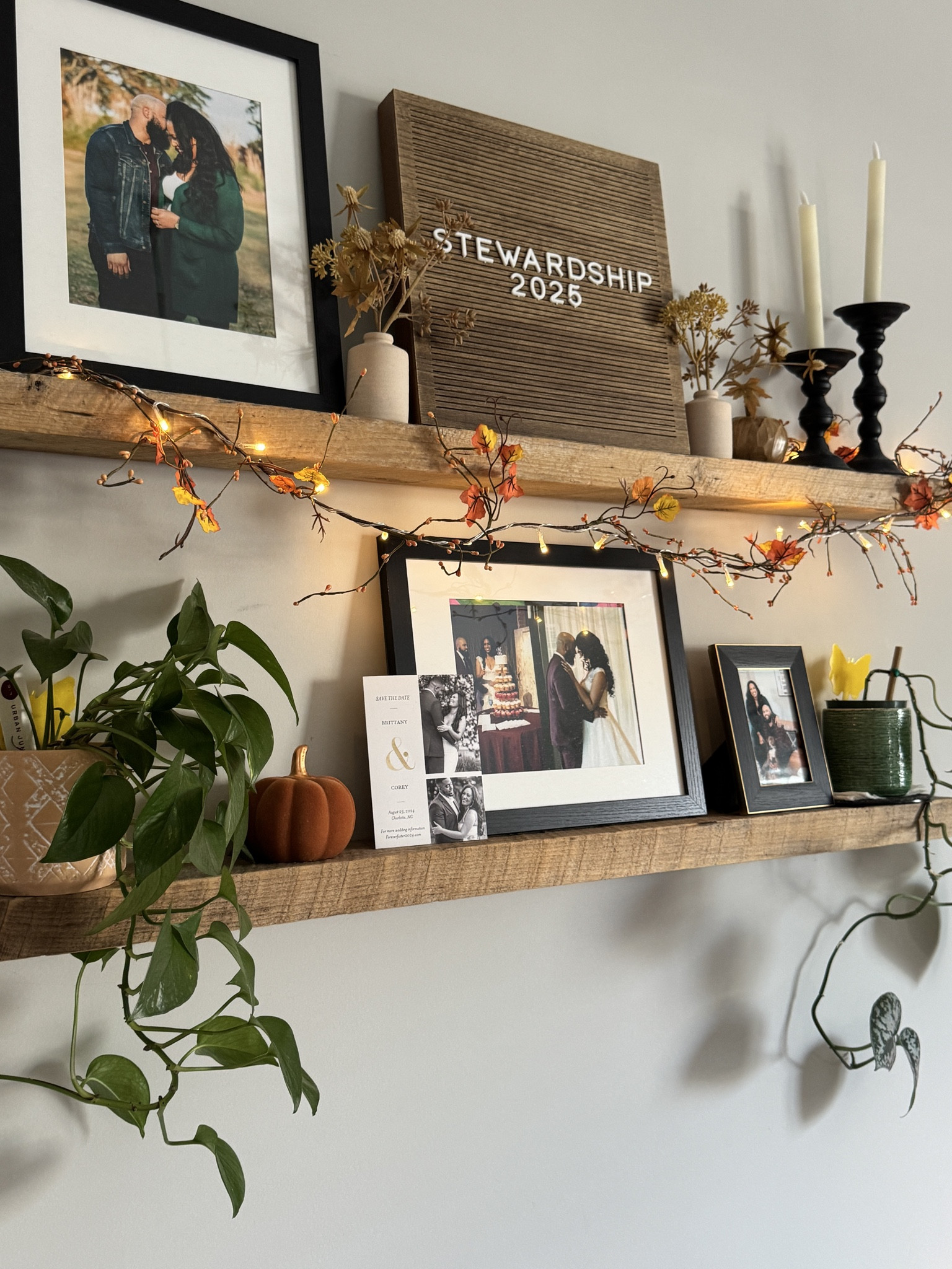 #LTKFindsUnder50 #LTKHome #LTKStyleTip