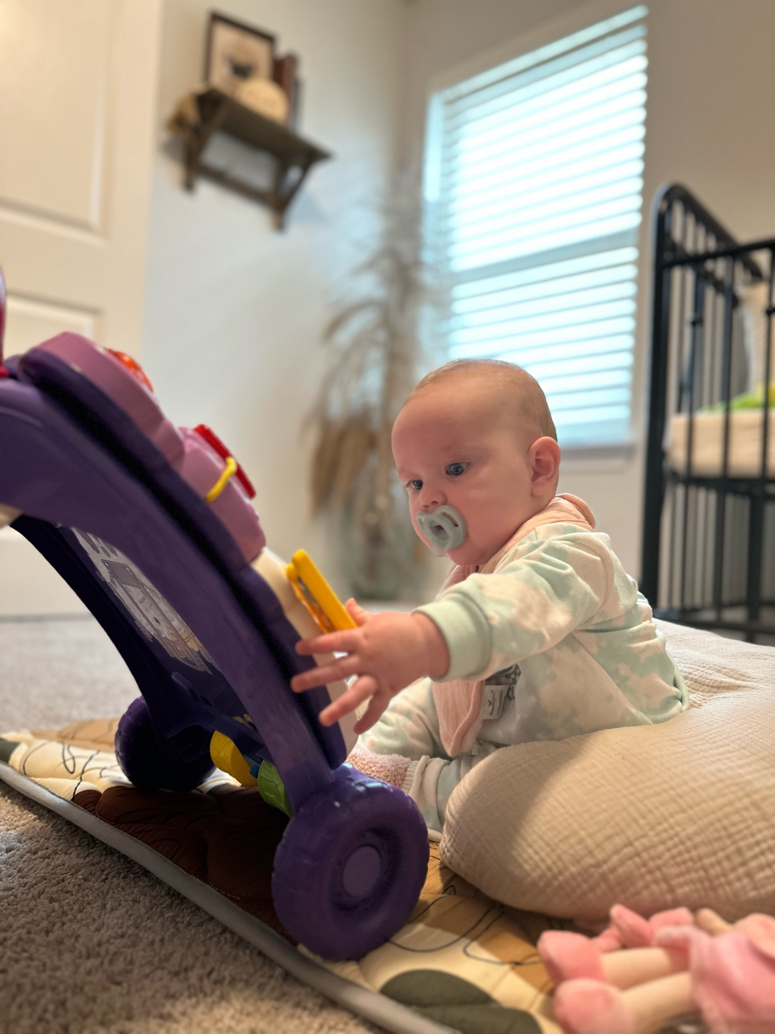 Reese’s most loved items of the day!


#babyitems #baby toys #playmat #boppy #babyessentials 

#LTKKids #LTKBaby #LTKFindsUnder50