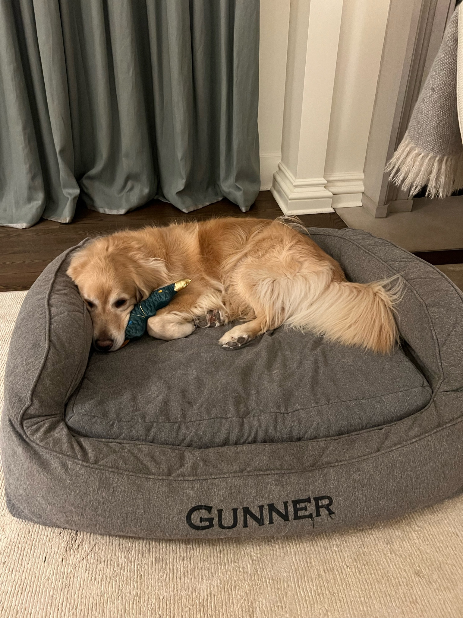 The best and most durable dog bed! Gunner approved 💕

#LTKGiftGuide #LTKHome #LTKHoliday