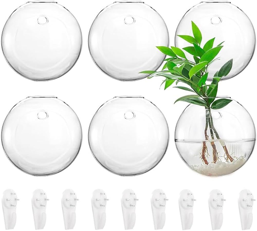 yarlung Set of 6 Wall Hanging Planters Terrarium, 4.7 Inch Glass Oblate Globe Plants Containers W... | Amazon (US)