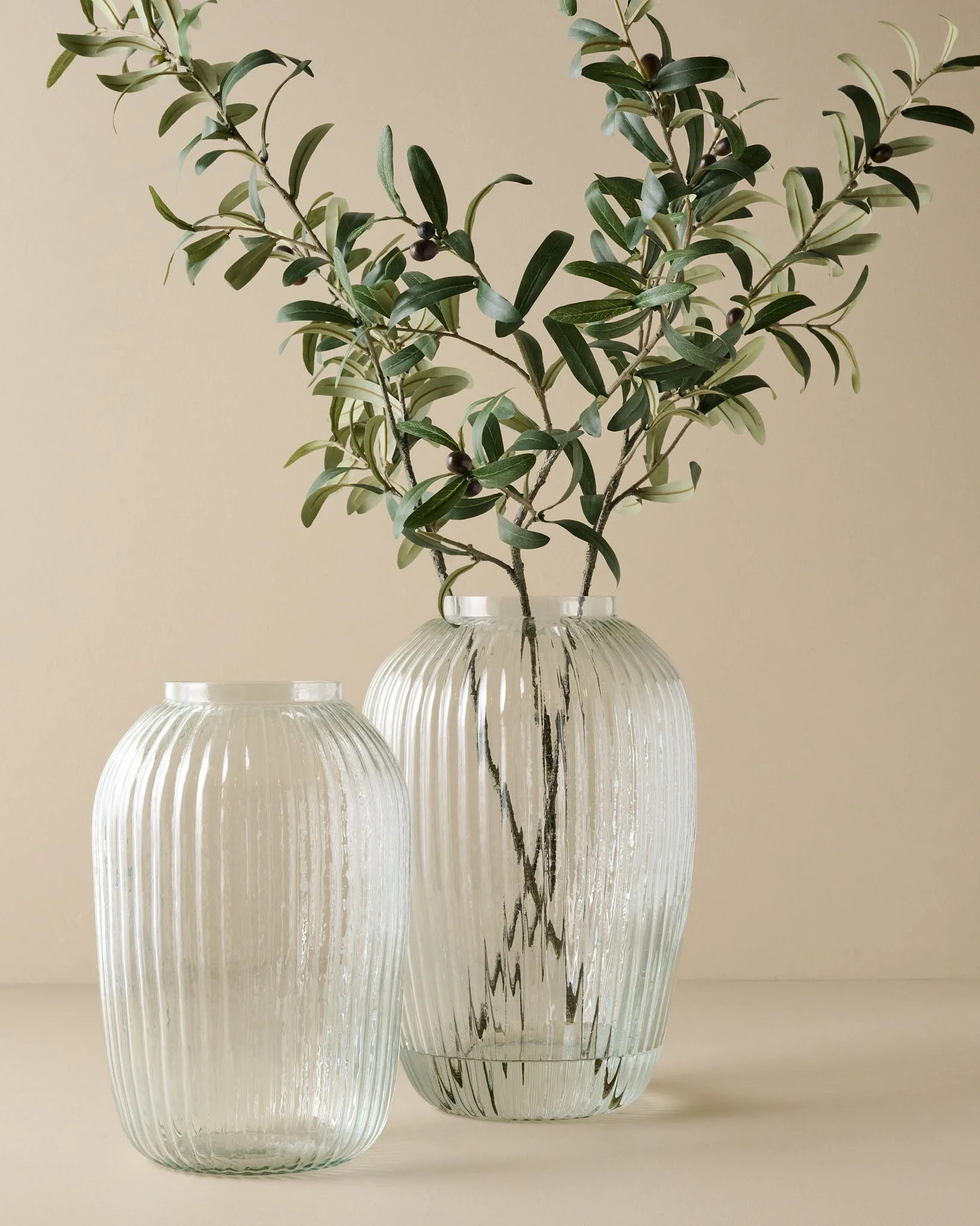 Olive Leaf Stem | Magnolia