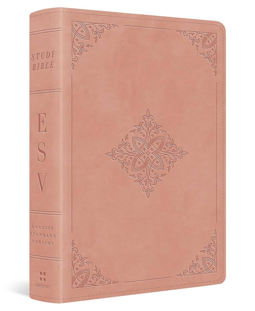 ESV Study Bible, Personal Size (TruTone, Pink, Fleur-de-lis Design): Holy Bible, English Standard... | Amazon (US)
