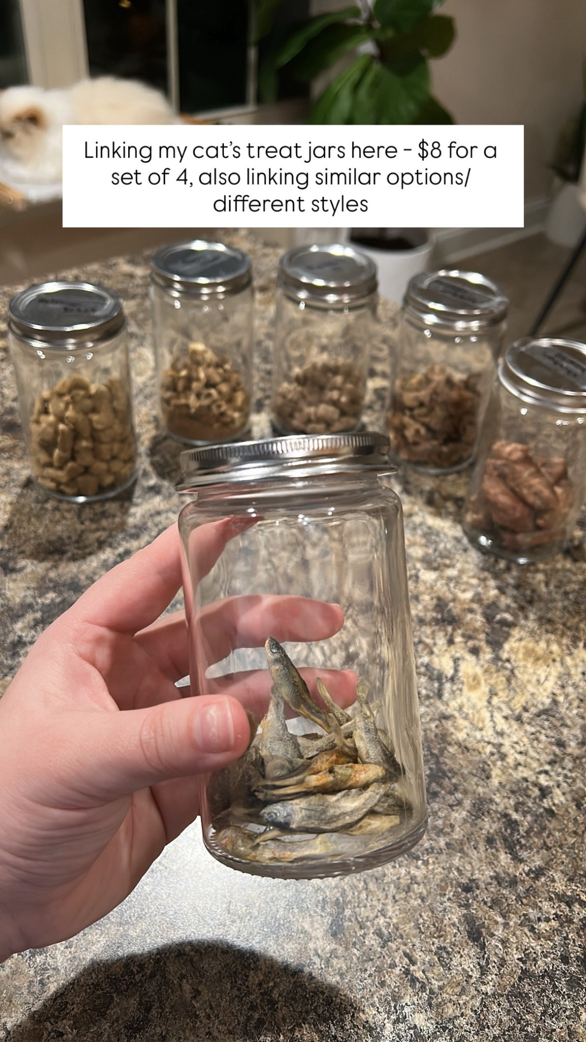 Cat treat jars #LTKikea #LTKpets #LTKcats #LTKpetcare 

#LTKHome