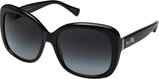 Coach Womens L139 Sunglasses (HC8158) Acetate | Amazon (US)