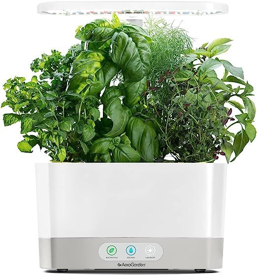 AeroGarden Harvest with Gourmet Herb Seed Pod Kit - Hydroponic Indoor Garden, White | Amazon (US)