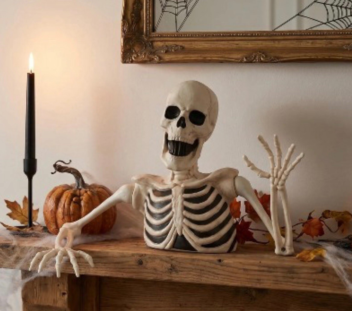 One of my fave Halloween finds so far! Can’t wait to style him!

#LTKSeasonal #LTKHome