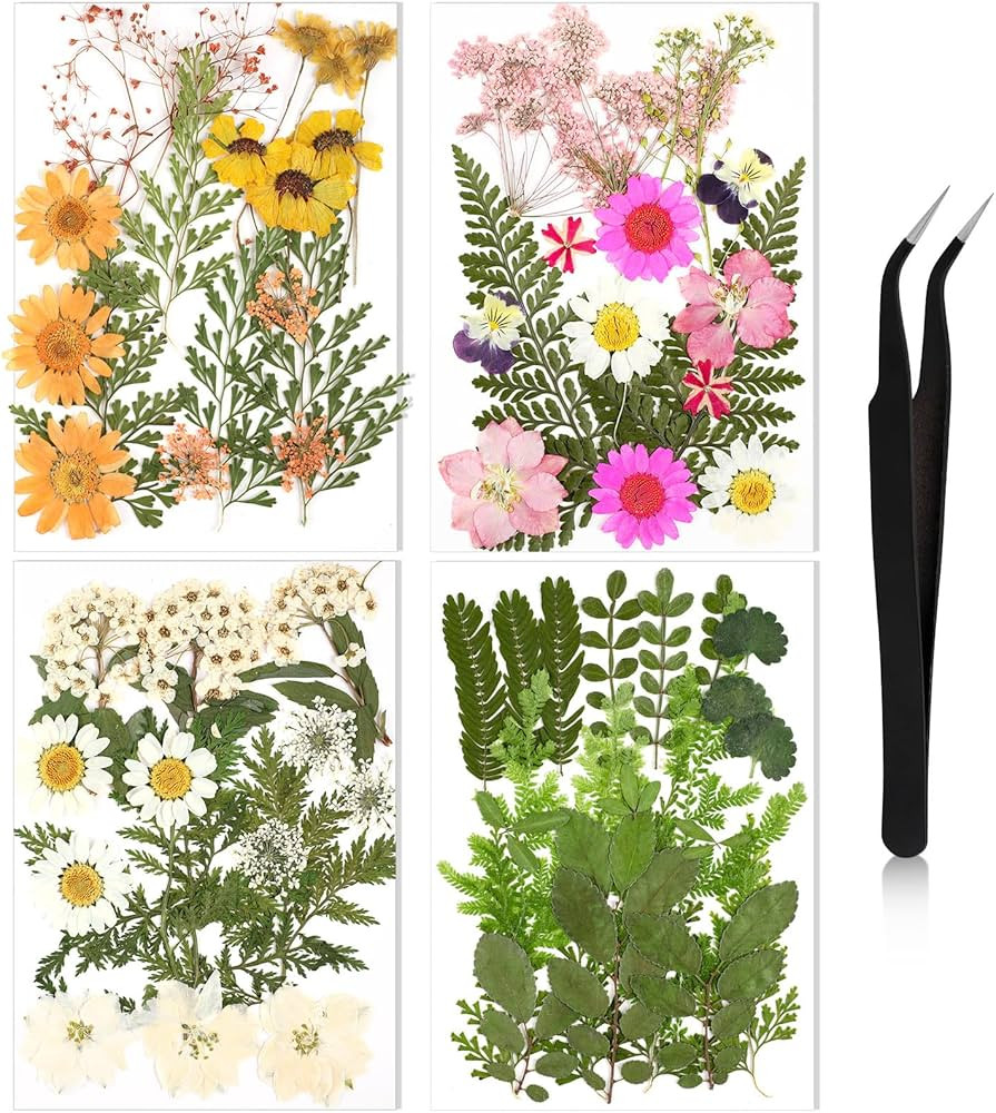 Nuanchu Pressed Flowers Bulk Dried Flower for Crafts, Dried Flower Leave Natural with Tweezer for... | Amazon (US)