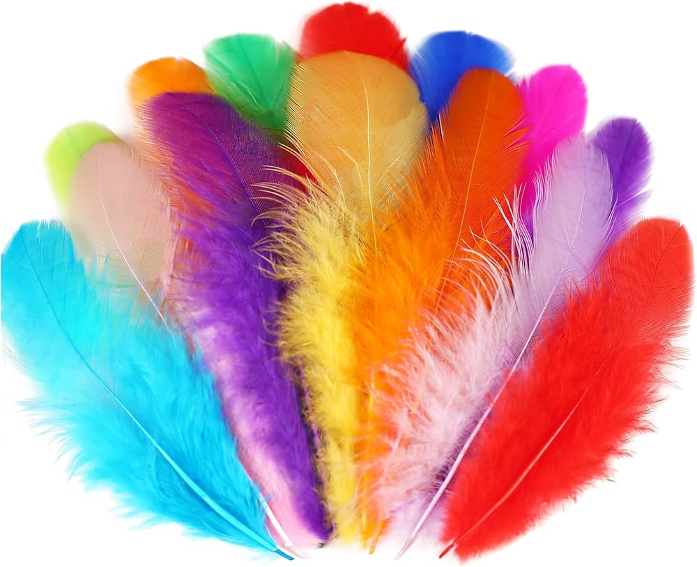 Soarer Colorful Craft Rooster Feathers - 300pcs 3-5inch Colored Feathers Bulk for Kindergarten DI... | Amazon (US)
