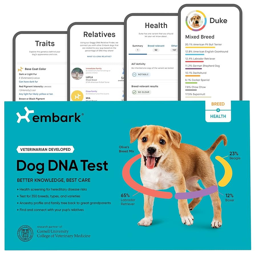 Embark Breed & Health Kit - Dog DNA Test - Discover Breed, Ancestry, Relative Finder, Genetic Hea... | Amazon (US)