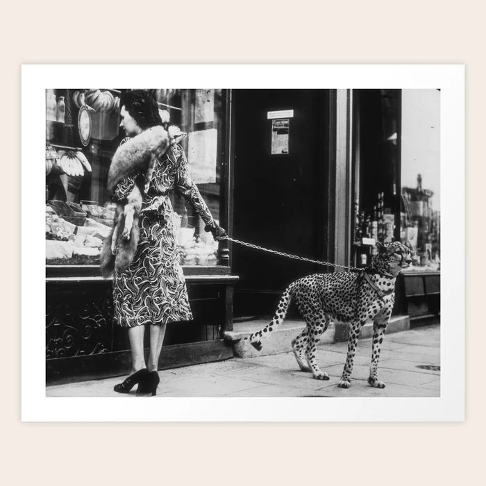 Leopard on a Leash, Black and White Vintage Art Art Print | Society6