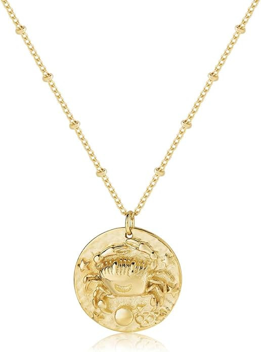 Zodiac Coin Embossed Choker Necklace Disc 12 Constellation Astrology Horoscope 14K Gold Plated Ro... | Amazon (US)