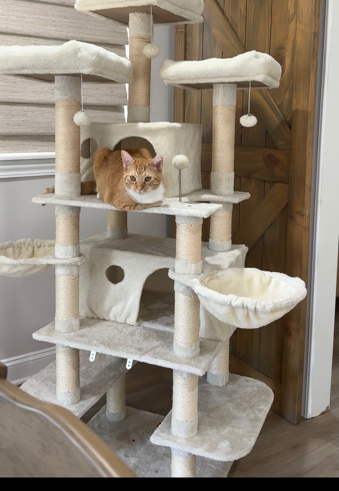 This large cat tree is the perfect for all of the cat moms! Love this because it has so many options for your cat to relax and play 

#cat#catmom #cattree #petmom #kitten #cattoy

#LTKSaleAlert #LTKFindsUnder100 #LTKHome