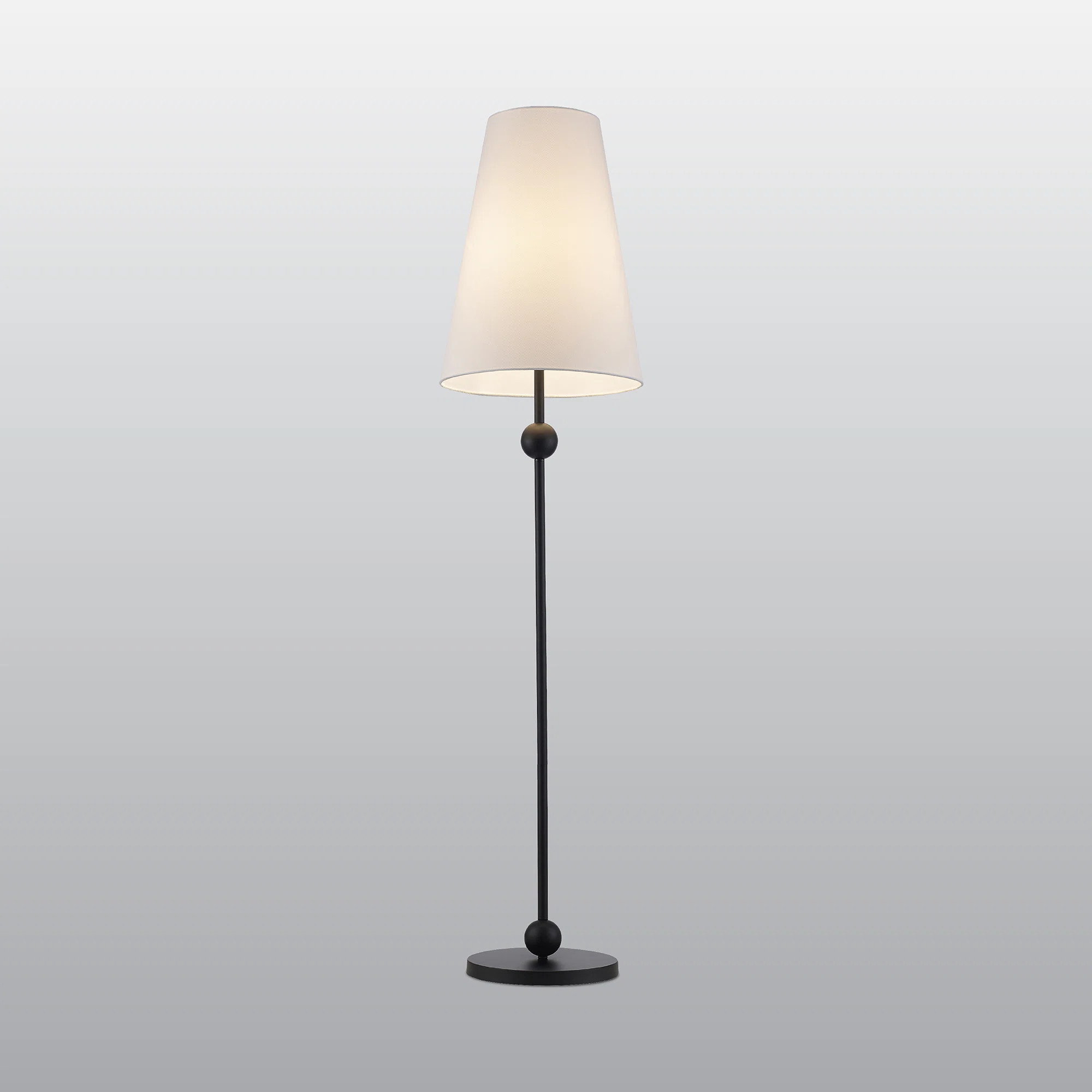 Kael 1 - Light Floor Lamp | Wayfair North America