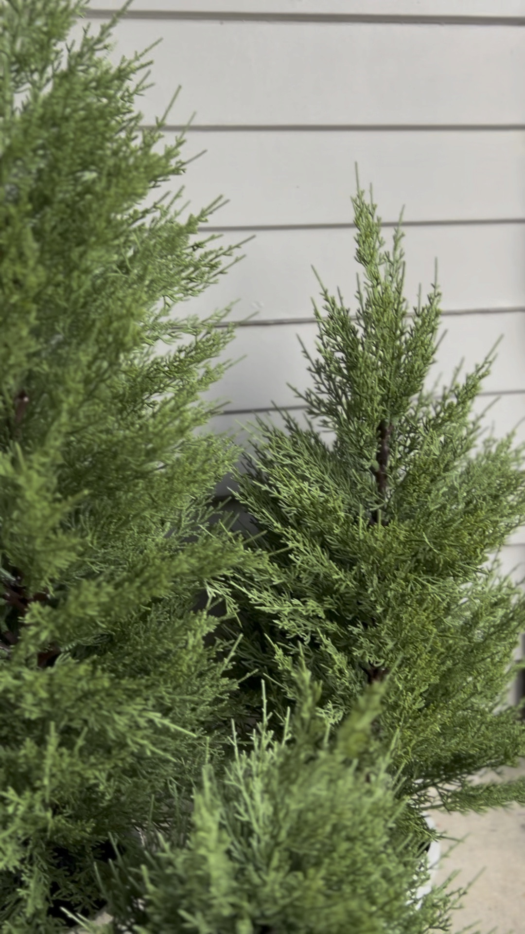 Look who’s back in stock! Last year y’all sold them immediately! This year version has a different pot otherwise these faux cypress trees are the most beautiful faux trees I own!! Christmas faux cypress tree by Hand & Hearth by Magnolia
Target find. Faux Cypress Tree in Brass Pot - Hearth & Hand™ with Magnolia

#LTKHome #LTKxTarget #LTKHoliday