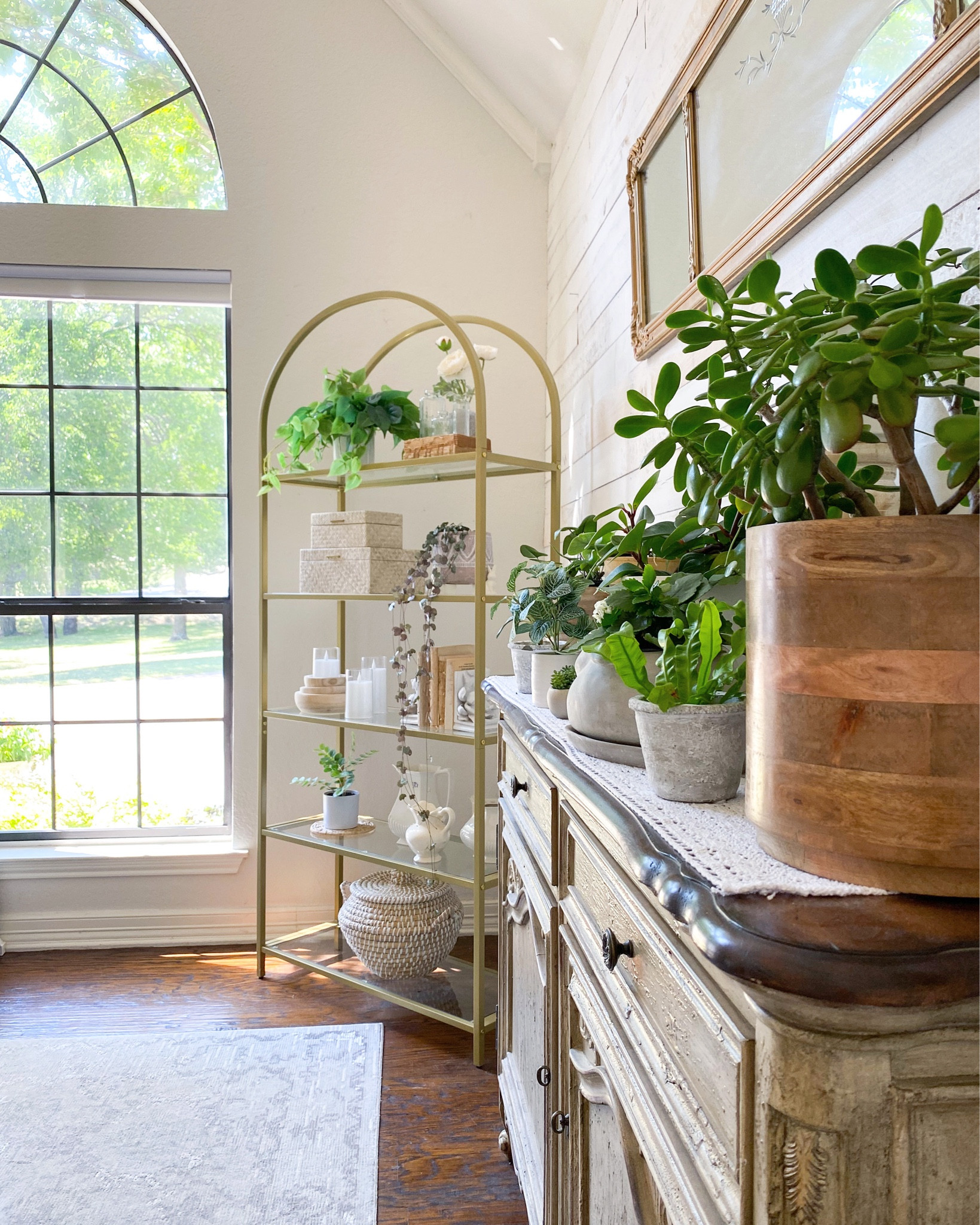 Morning sunlight and plants! This arched gold shelf is a beauty and so fun to style! Also comes in black! 

#bookshelf #archedshelf

#LTKhome #LTKFind