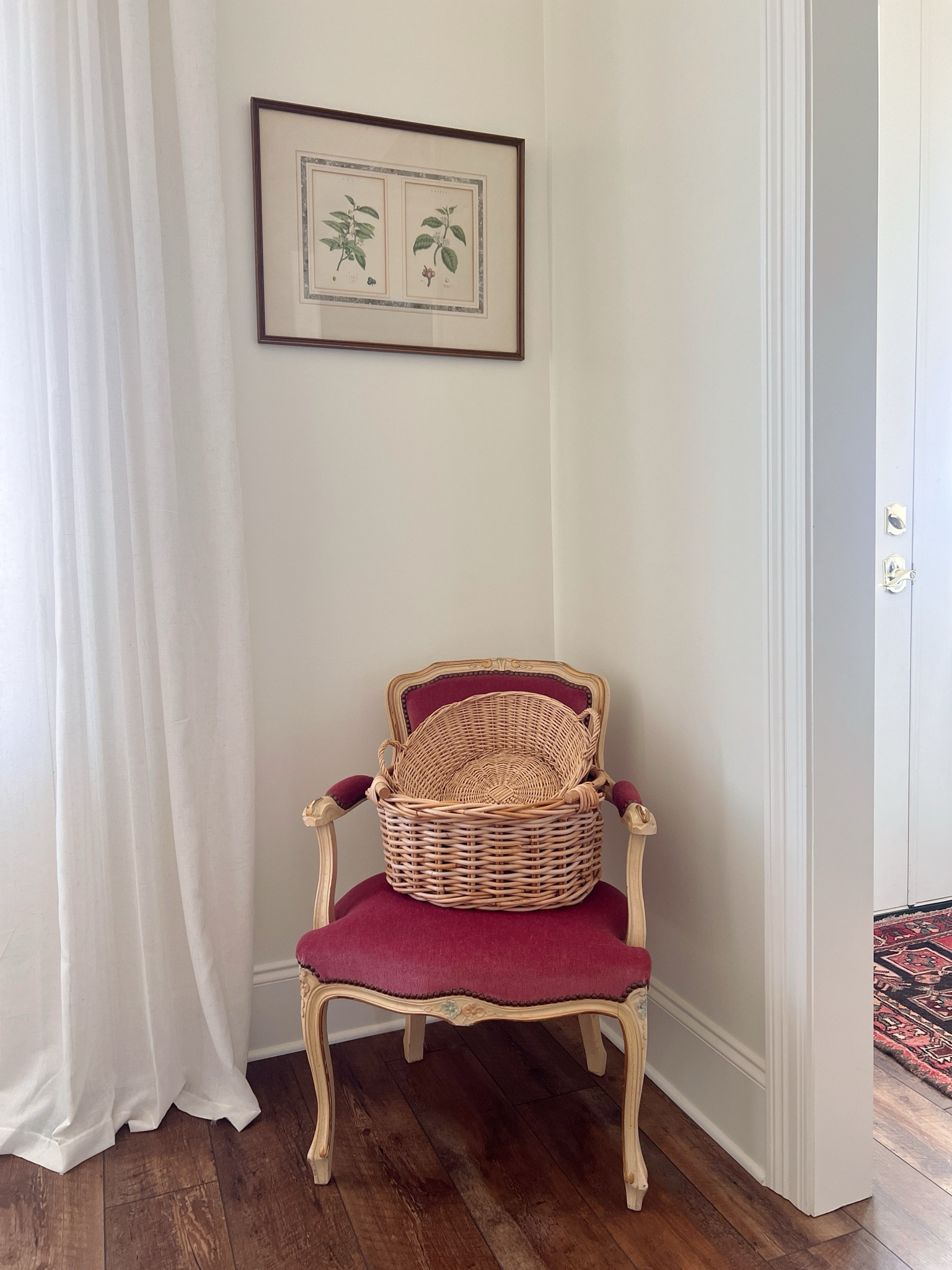 French Louis XV style chair with velvet upholstery ✨



#LTKhome