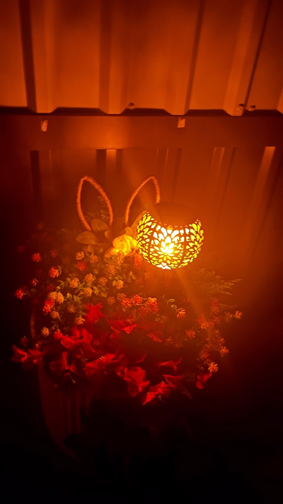 Let me light your path!!!! 
‼️Danas_Randomfinds‼️ 
Follow☑️Like👍🏻Share🫶🏻
🛍️Where you will get daily random fashion finds based on comfort, quality and style!!!!   Thank you 😊 
#amazonfinds 
#danasrandomfinds #amazonessentials 
#amazonfashion 
#emptynester 
#over50
Below ⬇️ is how you get your links!!

#LTKSeasonal #LTKHome