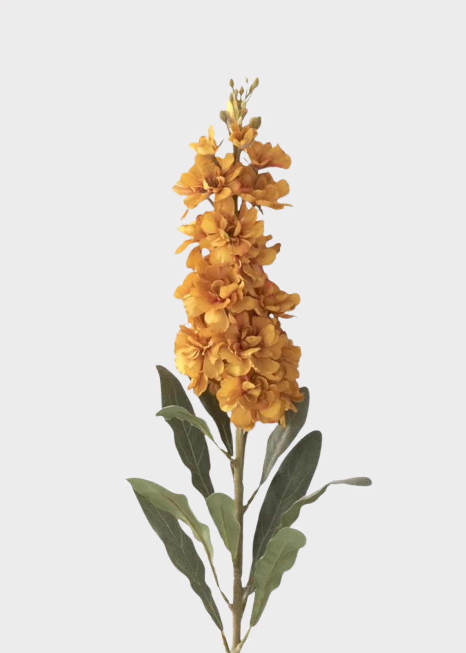 Golden Yellow Stock Flower | Lifelike Artificial Botanicals | Afloral | Afloral