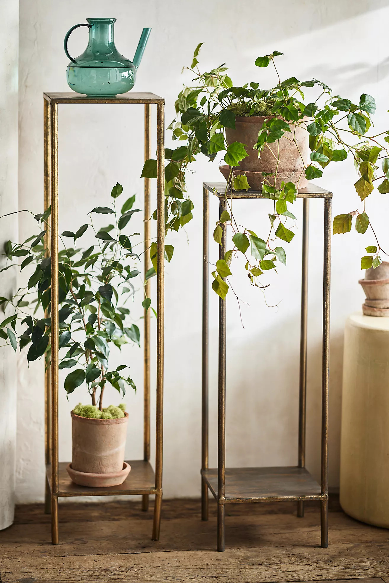 Two-Tier Iron Plant Stand | Anthropologie (US)