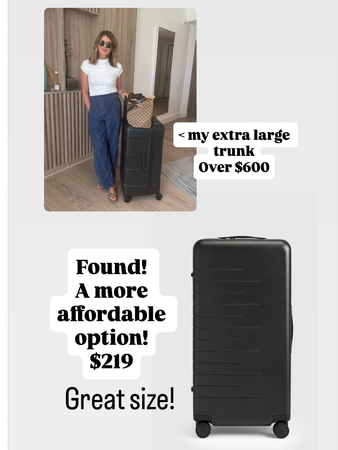 Trunk check-in luggage