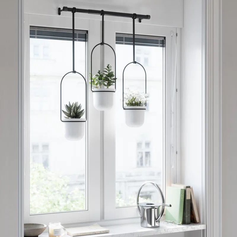 Triflora Hanging Planter | Wayfair North America